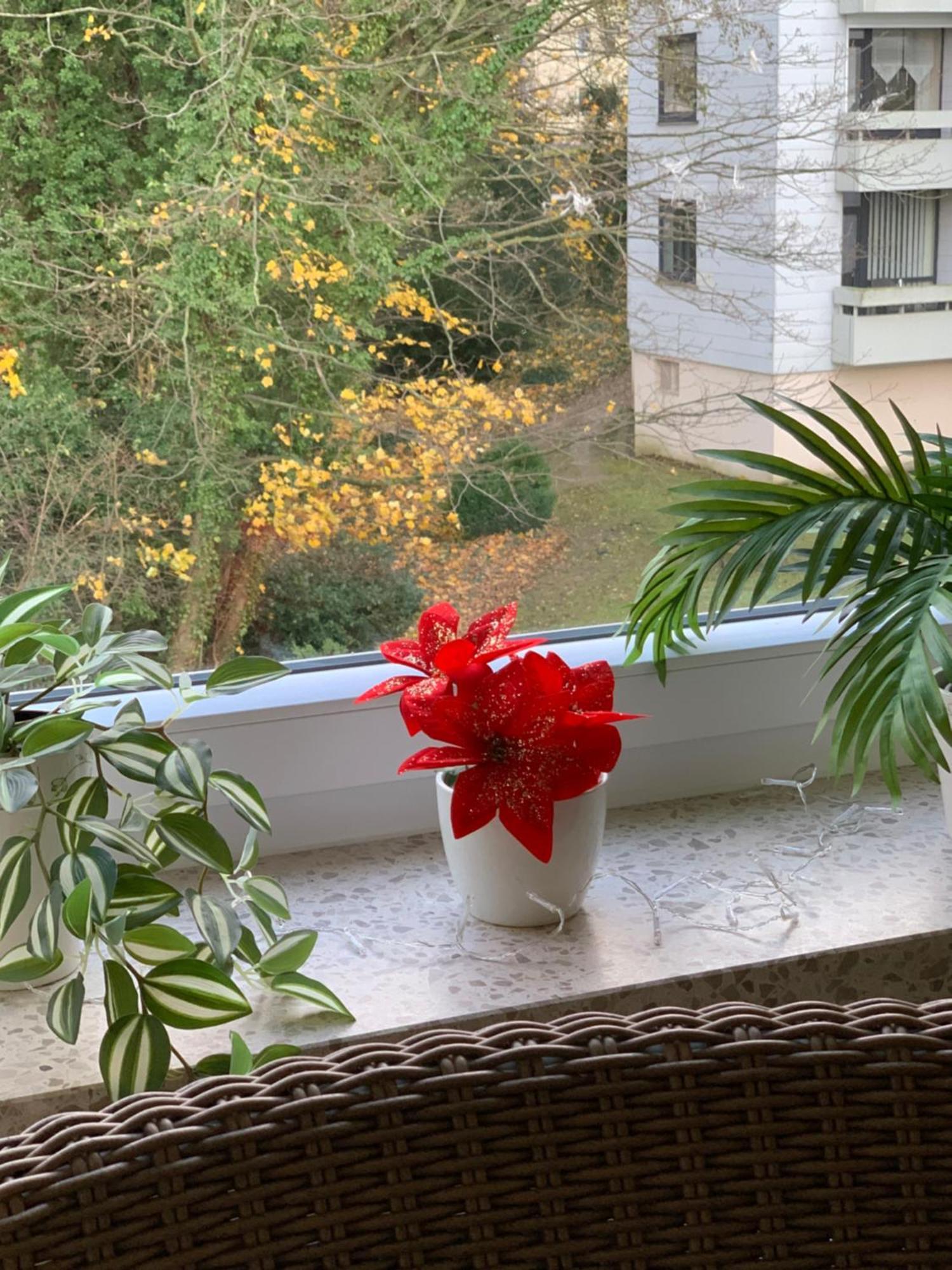 באד הרצבורג Ferienwohnung Doretta מראה חיצוני תמונה